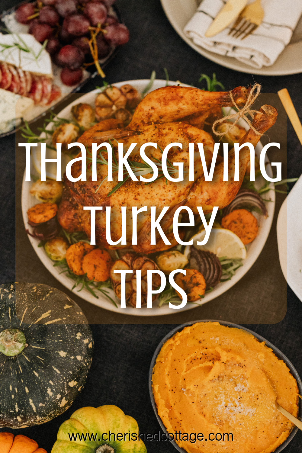 Tips for the BEST Thanksgiving Turkey